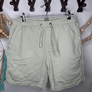 Quiksilver Light Green Trip Away Casual Shorts